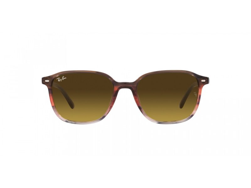 Ray-Ban Leonard RB 2193 138085 51 Occhiali da Sole