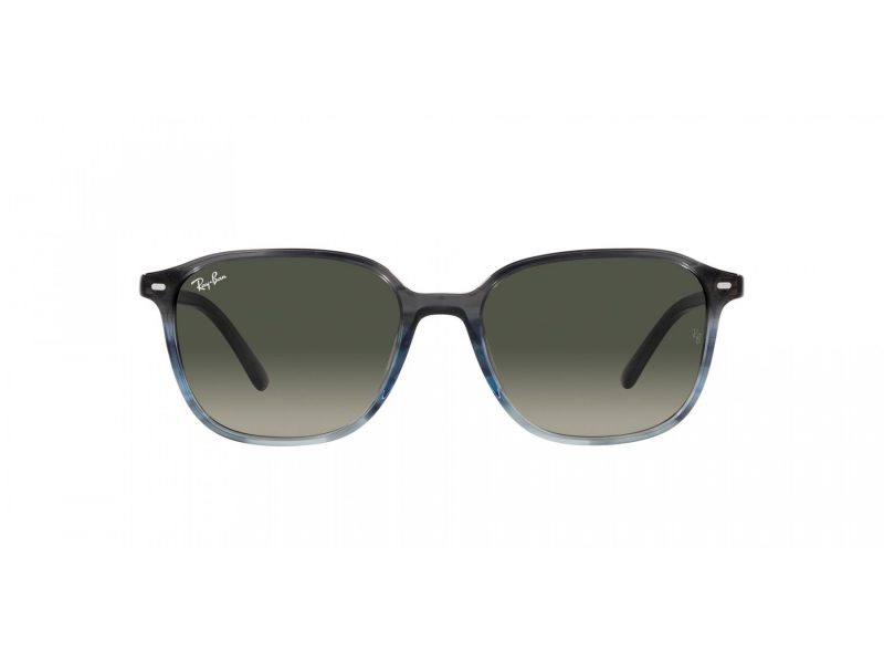 Ray-Ban Leonard RB 2193 138171 53 Occhiali da Sole