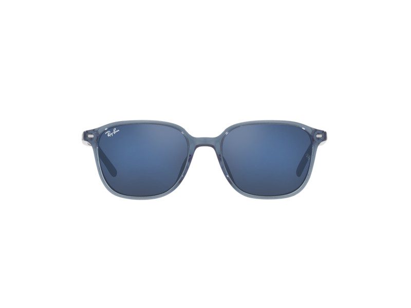 Ray-Ban Leonard RB 2193 6638/O4 53 Occhiali da Sole