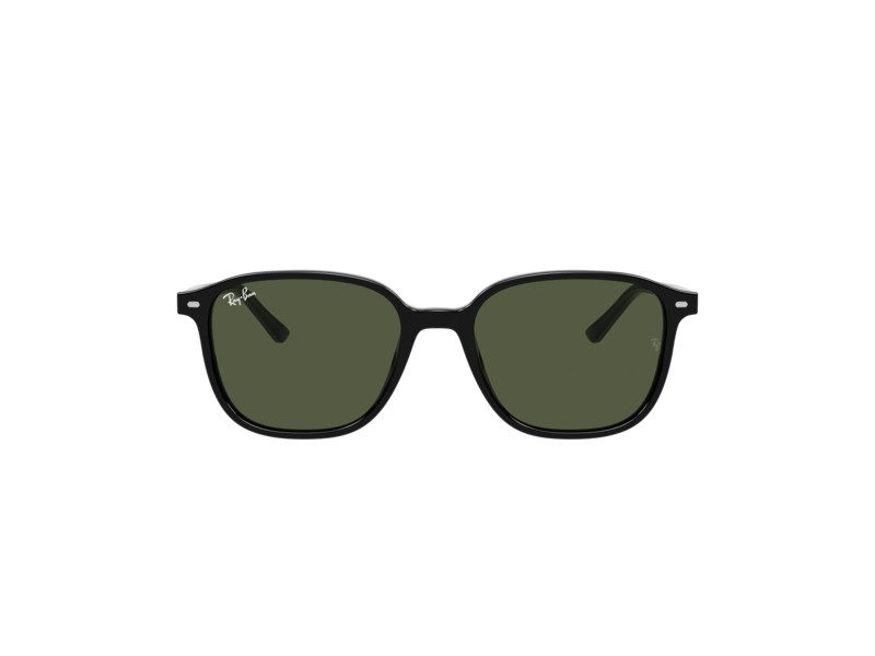 Ray-Ban Leonard RB 2193 901/31 51 Occhiali da Sole