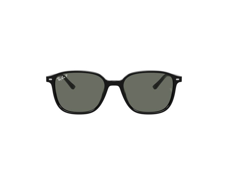 Ray-Ban Leonard RB 2193 901/58 53 Occhiali da Sole