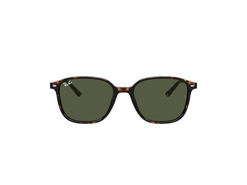 Ray-Ban Leonard RB 2193 902/31 51 Occhiali da Sole