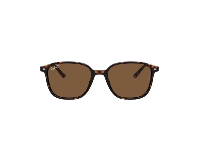 Ray-Ban Leonard RB 2193 902/57 51 Occhiali da Sole