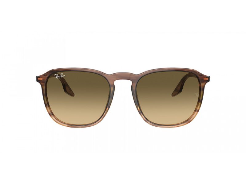 Ray-Ban RB 2203 13920A 52 Occhiali da Sole