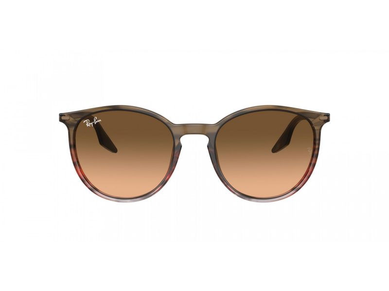 Ray-Ban RB 2204 13953B 51 Occhiali da Sole