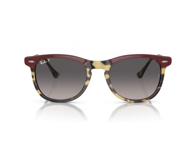 Ray-Ban Eagleeye RB 2398 1377M3 53 Occhiali da Sole