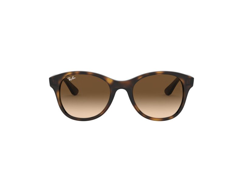 Ray-Ban RB 4203 710/13 51 Occhiali da Sole