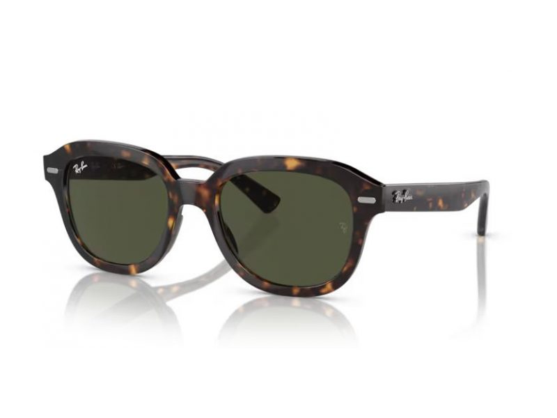 Ray-Ban Erik RB 4398 902/31 51 Occhiali da Sole