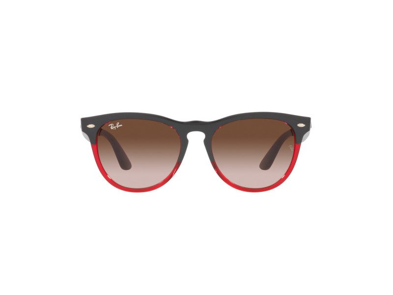 Ray-Ban Iris RB 4471 6631/13 54 Occhiali da Sole