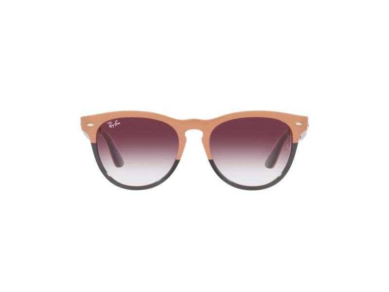 Ray-Ban Iris RB 4471 6633/8H 54 Occhiali da Sole