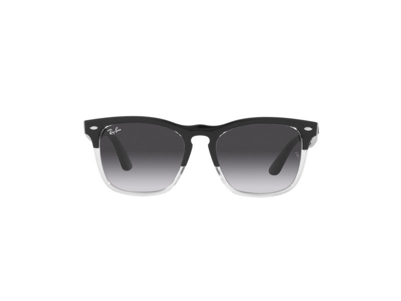 Ray-Ban Steve RB 4487 6630/8G 54 Occhiali da Sole