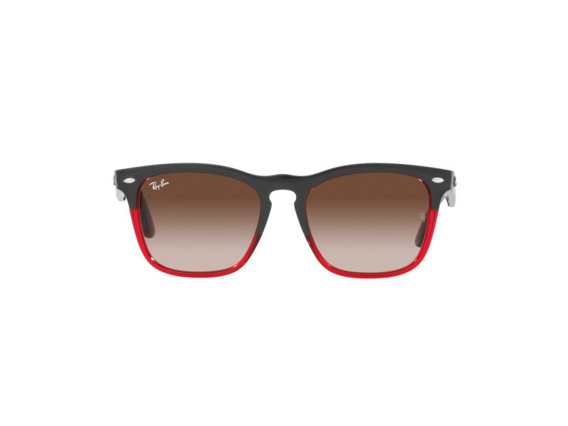 Ray-Ban Steve RB 4487 6631/13 54 Occhiali da Sole